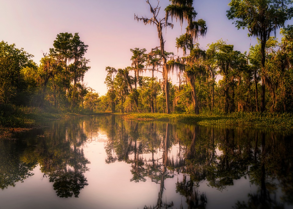 Vue sur un bayou au coucher du soleil 