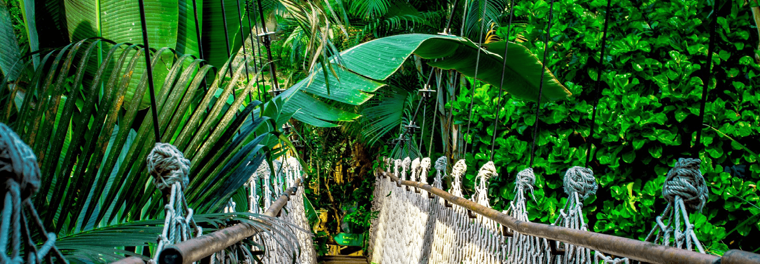 JSET-Costa Rica-Tropical Forest-Service-Learning33-min