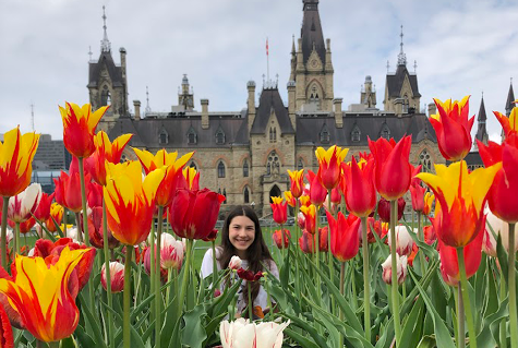 JSED-Ottawa-2-357x262